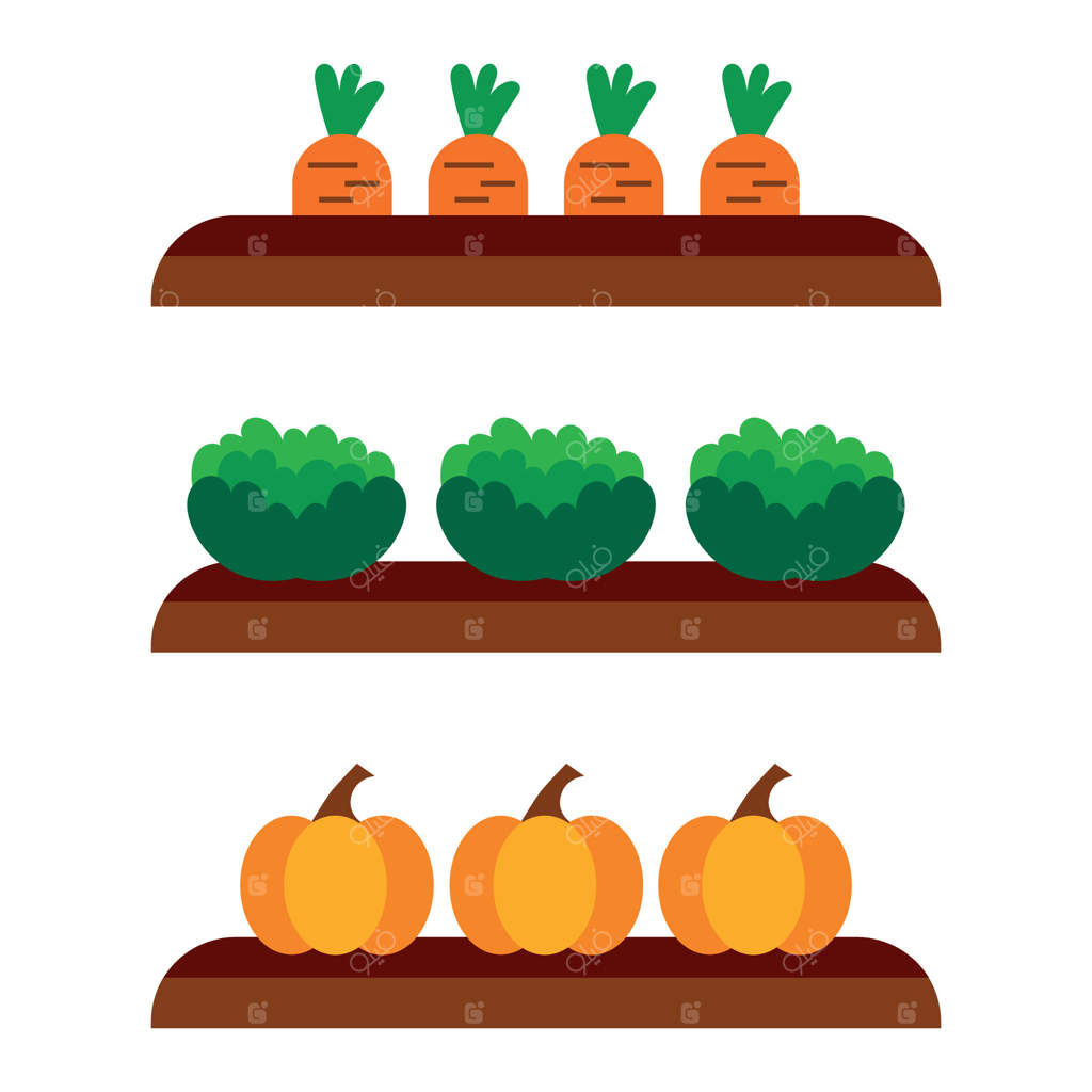 برداشت هویج، کلم و کدو در باغچه ها. روستا محصول را جمع کرد. کشاورزی کودکانه و سرگرم‌کننده