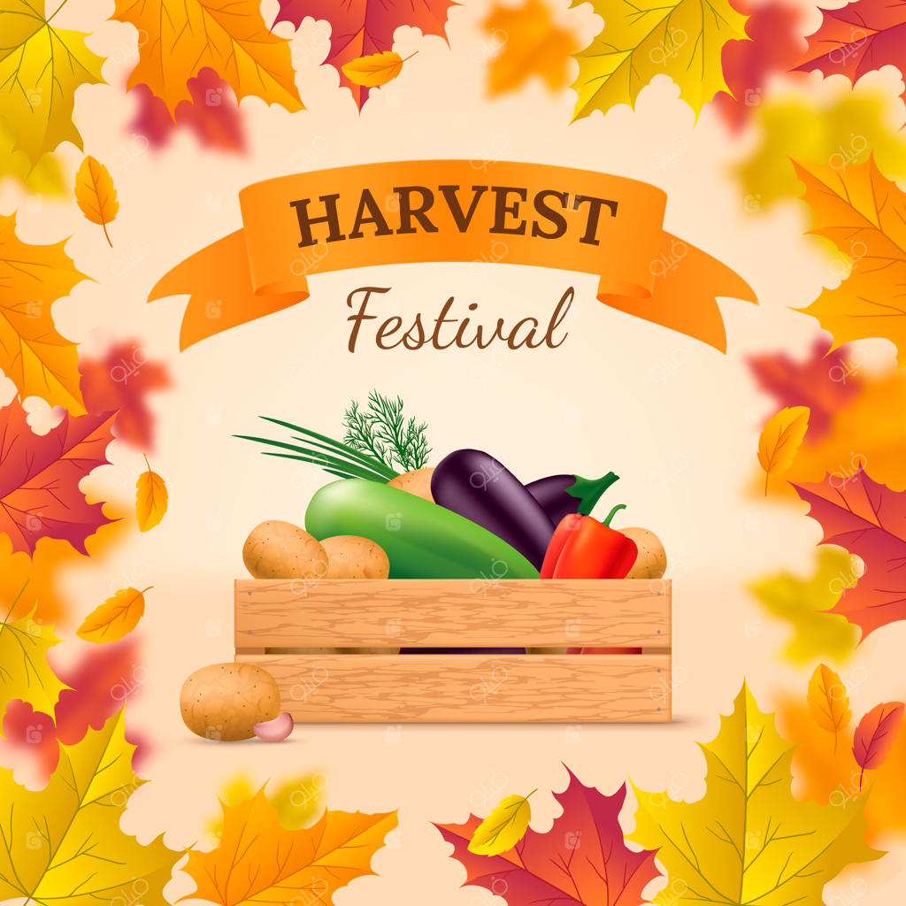 تصویر جشنواره برداشت محصول