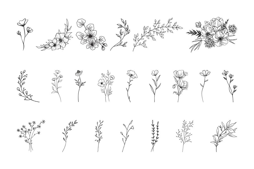 مجموعه وکتور طرح خطی گل، گیاه و شاخ و برگ با طراحی دستی