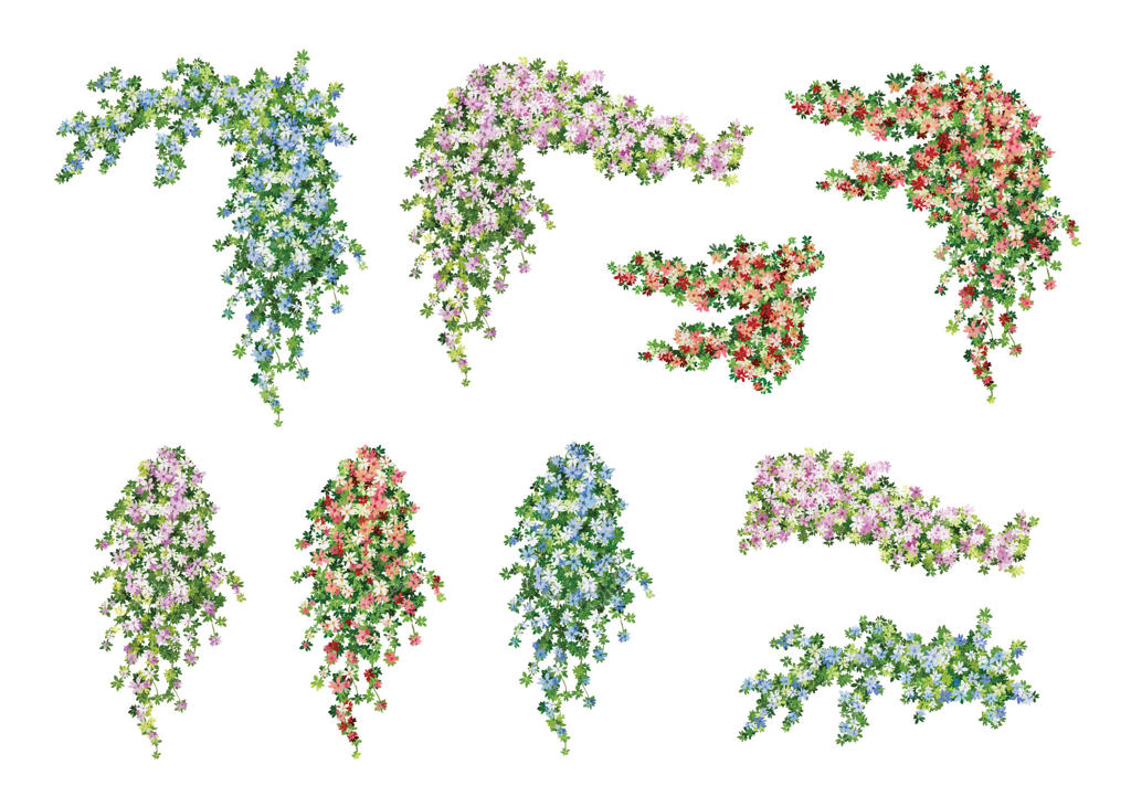 مجموعه زیبای گل‌ و پیچک برای الهام‌بخش طراحی - پرو وکتور