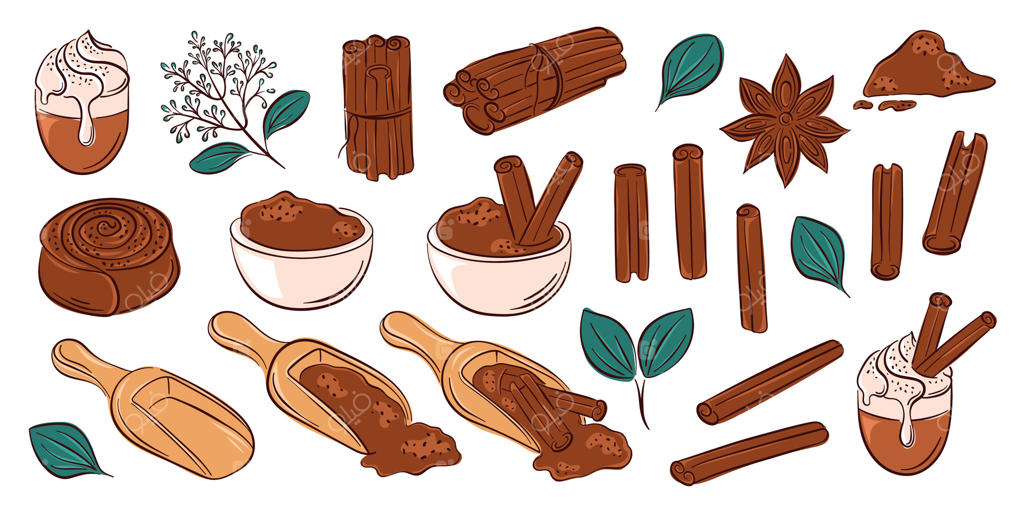 تصویرسازی ادویه‌ها و گیاهان معطر برای الهام بخشی - پرو وکتور