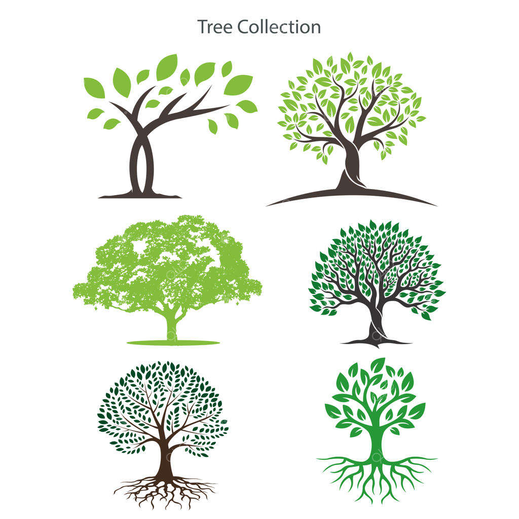 تصویرسازی وکتور درختان تخت به سبک دو بعدی