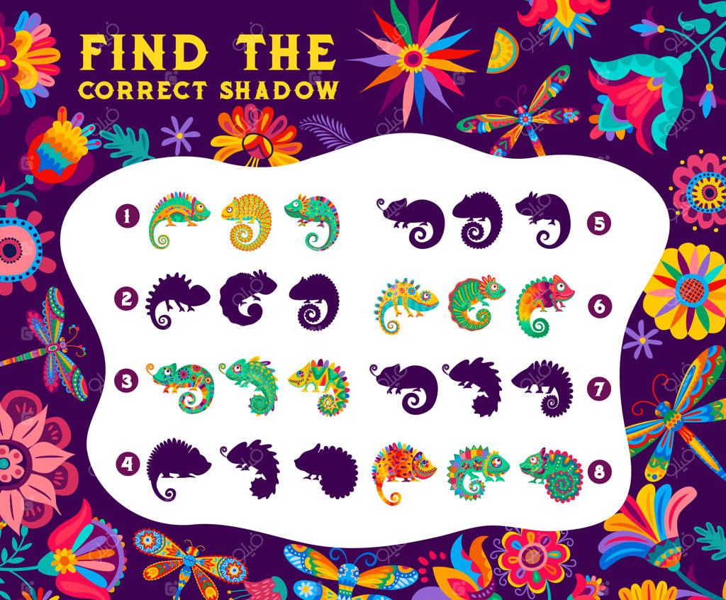 سایه درست آفتاب‌پرست‌های مکزیکی را پیدا کنید