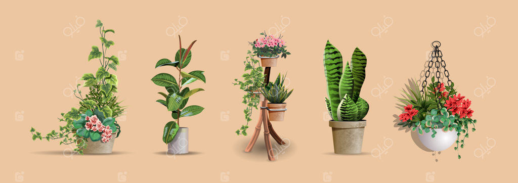 مجموعه وکتور گیاهان آپارتمانی و اداری طبیعی و پرجزئیات برای طراحی داخلی و دکوراسیون