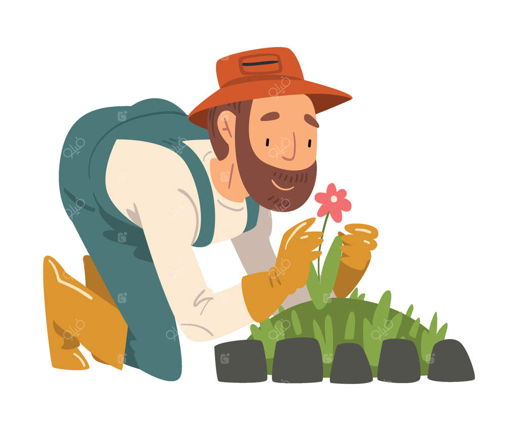 باغبان مرد در حال کاشت و تحسین گل‌ها - تصویر یک کشاورز خوشحال با لباس کار در باغ یا مزرعه