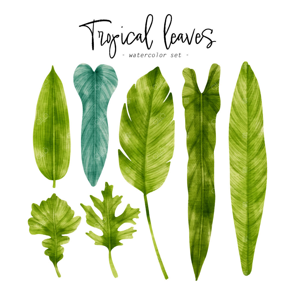 نقاشی آبرنگی برگ‌های سبز استوایی برای تزیینات