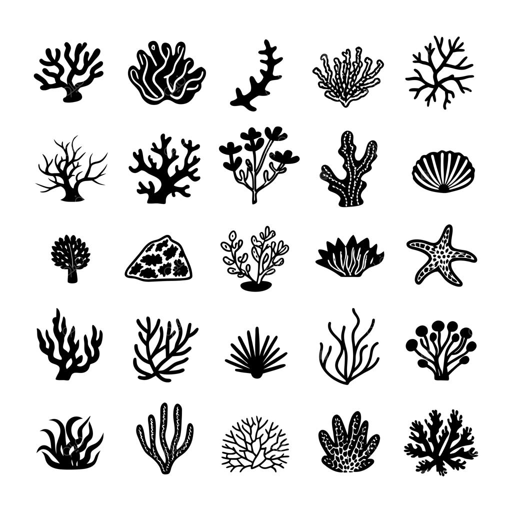 تصویرسازی وکتور صخره‌های مرجانی