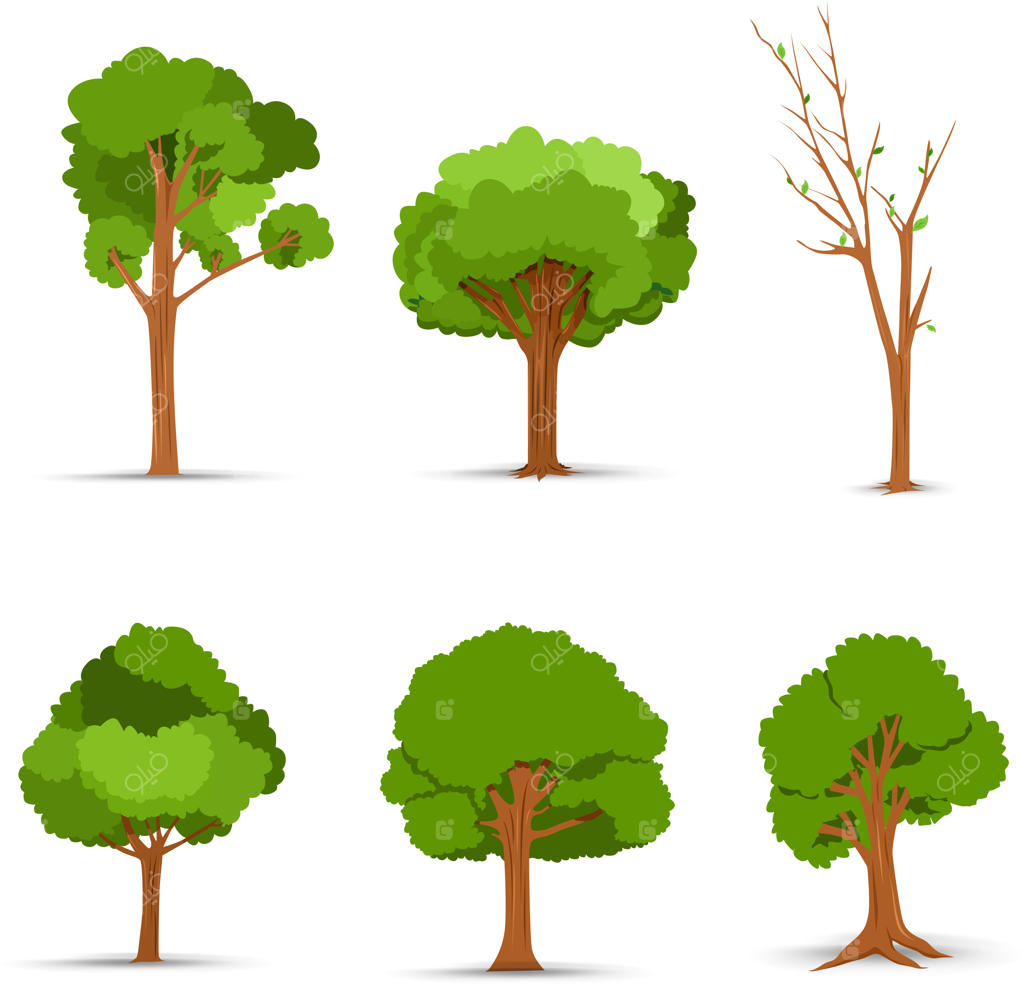 مجموعه تصویرسازی درخت