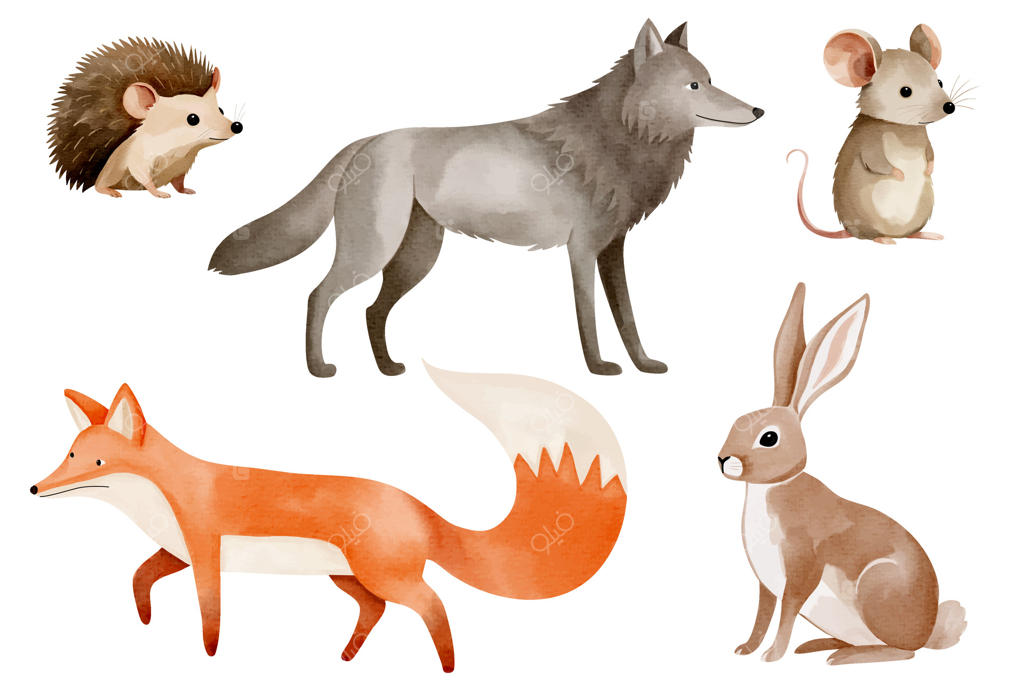 روباه، گرگ، خرگوش، موش، جوجه‌تیغی. حیوانات آبرنگی جنگلی. مجموعه‌ای از تصاویر دست‌کشیده حیوانات وحشی جنگل.