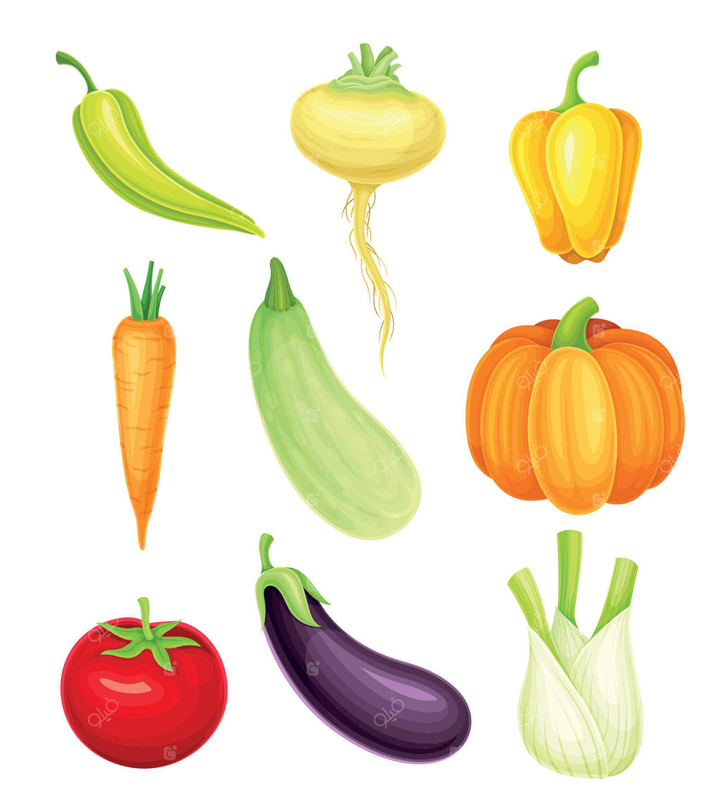 سبزیجات رسیده به‌عنوان غذای خام سالم و مجموعه‌ای از کشت‌های باغی