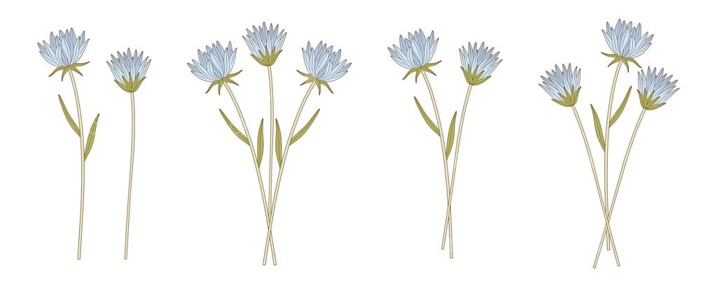 دسته گل‌های آبی با برگ‌ها: مجموعه‌ای از گل‌های وحشی و گیاهان دائمی. عناصر طراحی گیاهی برای پروژه‌های هنری و طراحی