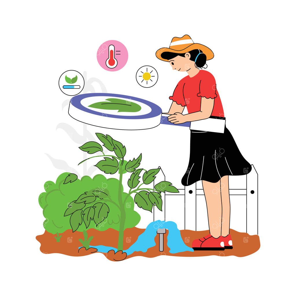 باغبانی در حال بررسی سلامت و رشد گیاهان