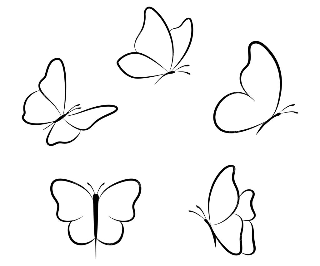 مجموعه طرح خطی پروانه - نقاشی دستی بر روی زمینه سفید