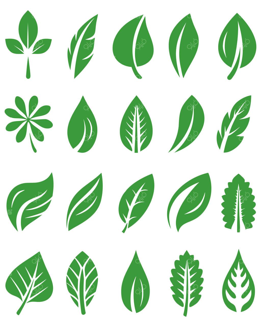 مجموعه سیلوئت برگ‌های سبز برای مفاهیم طبیعت و گیاه‌شناسی