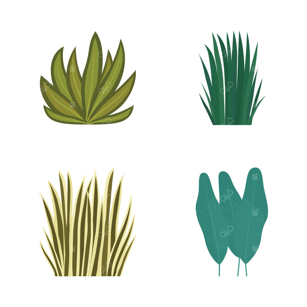 مجموعه‌ای از عناصر تازه: برگ‌های گرمسیری و گیاهان جنگلی در پارک و باغ