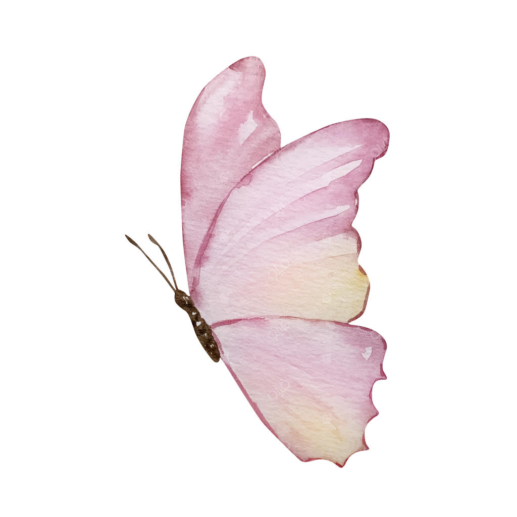 پروانه ظریف آبرنگی صورتی و زرد