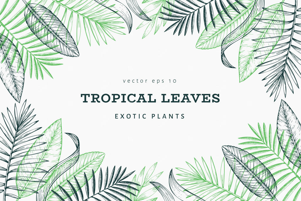 قالب گیاهان استوایی