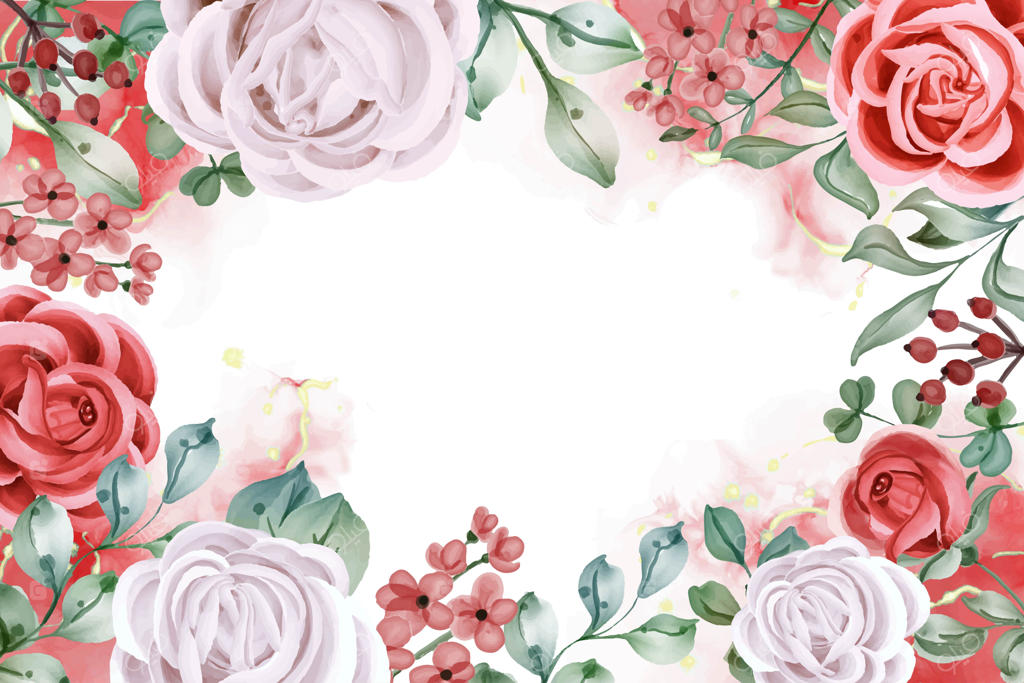 پس‌زمینه چیدمان گل های رز سفید باشکوه