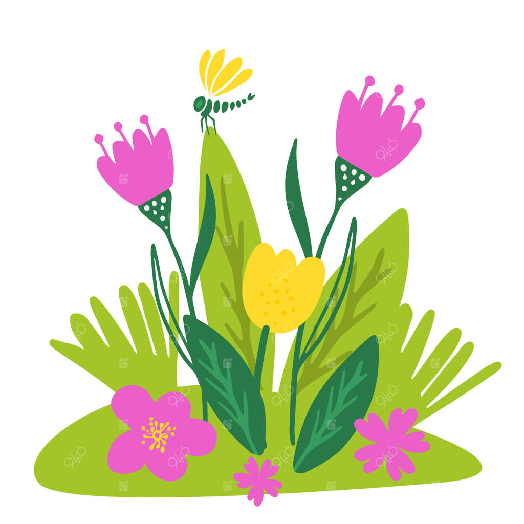 تخت گل با گل‌های صورتی و زرد در بهار و تابستان، سنجاقک. باغ روستایی یا شهری، گیاهان بستر. تصویرسازی تخت بر روی زمینه سفید. نماد بهار برای تزئین، کارت پستال.