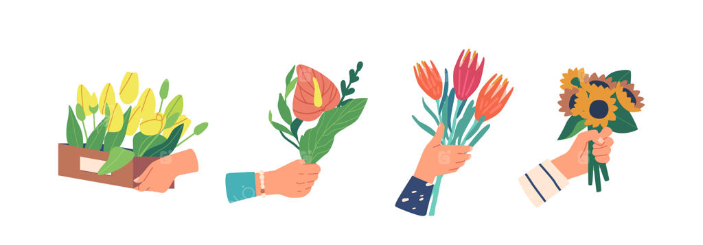 دسته‌ گل‌های گل شیپوری، آفتابگردان و لاله در دستان مردانه برای هدیه و تحویل، در پس‌زمینه سفید