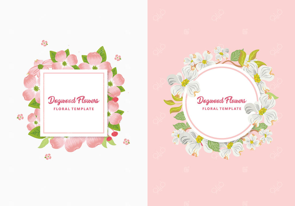 پترن دعوت‌نامه گل درختچه کورنوس - تصویرسازی وکتور