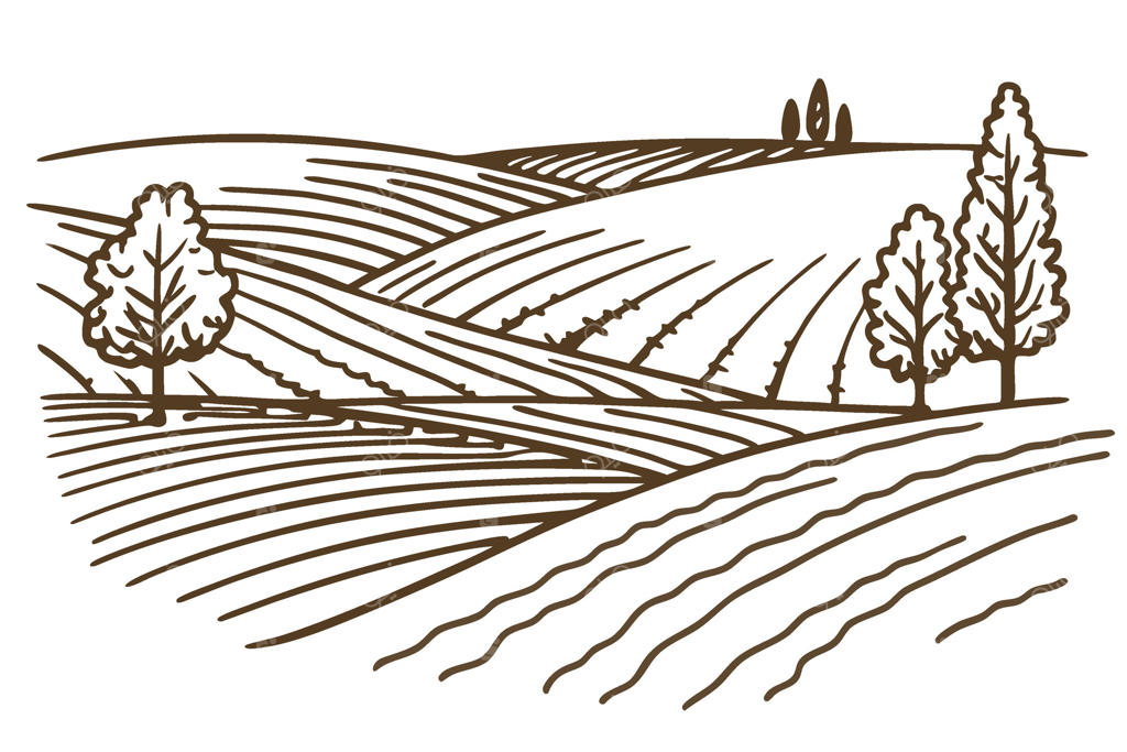 چشم‌انداز کشاورزی با تپه‌های آرام، دشت‌های سرسبز، درختان و مزارع روستایی