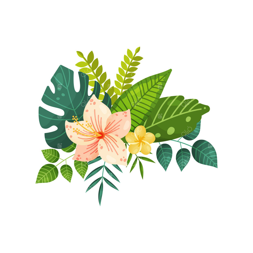 دسته‌های گل و برگ‌های گرمسیری در زمینه سفید