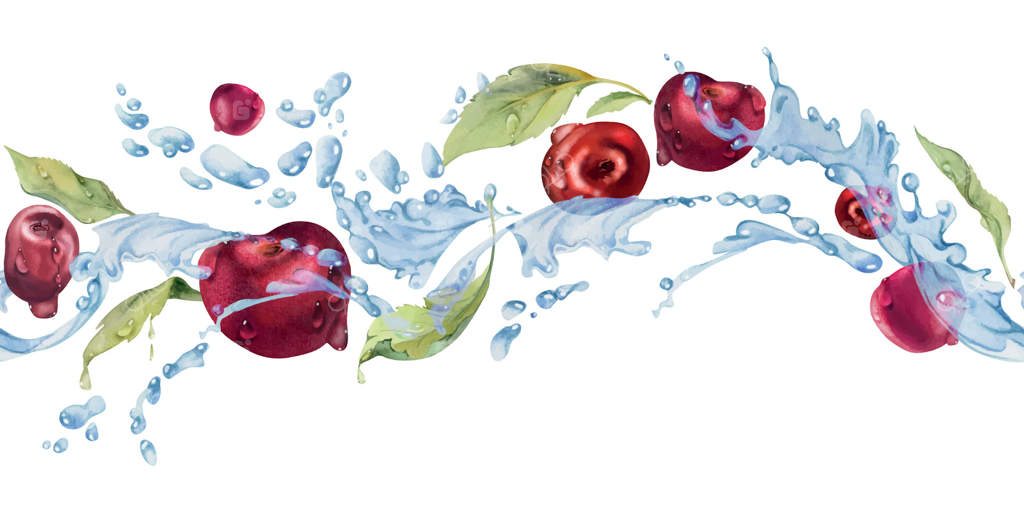 گیلاس ترش و شیرین در حال پرواز در قطرات آب، نقاشی شده با آبرنگ، همراه با برگ‌ها. تصویر یکپارچه برای منوی رستوران و کافه، بازار کشاورزان و عروسی