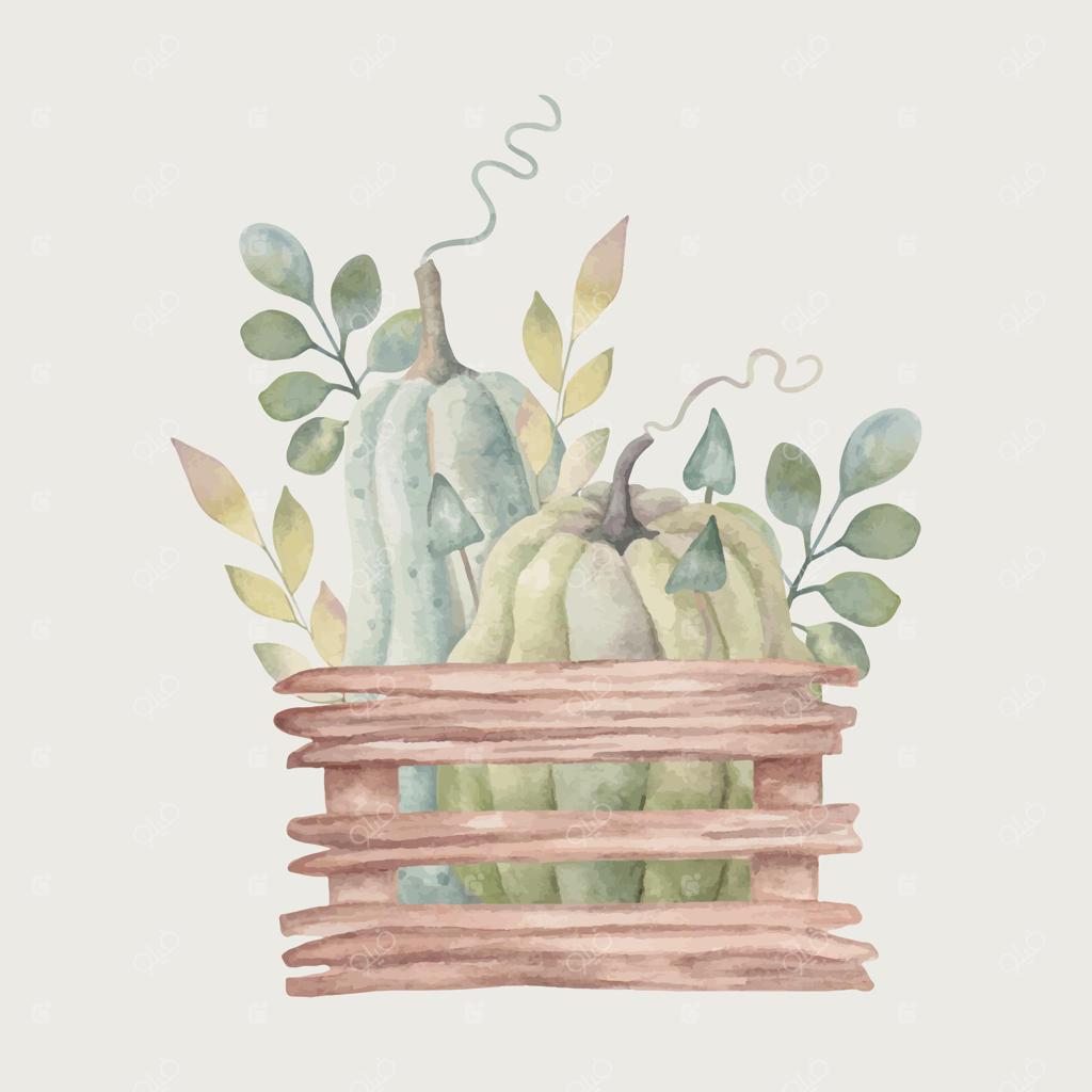 ترکیب کدو تنبل و قارچ با برگ‌ها در جعبه چوبی باغ. تصویر آبرنگی از سبزیجات. هنر دست کشیده‌ی ایزوله. طرح گیاه‌شناسی پاییزی برای طراحی شکرگزاری و برداشت محصول