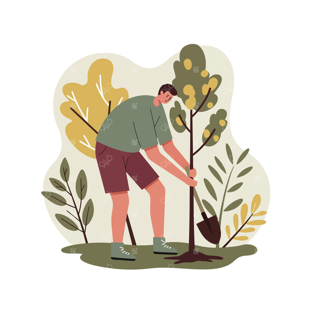 مردی در حال کاشتن درخت در باغ با برگ‌های سبز و زرد - فعالیت بیرونی و صحنه باغبانی