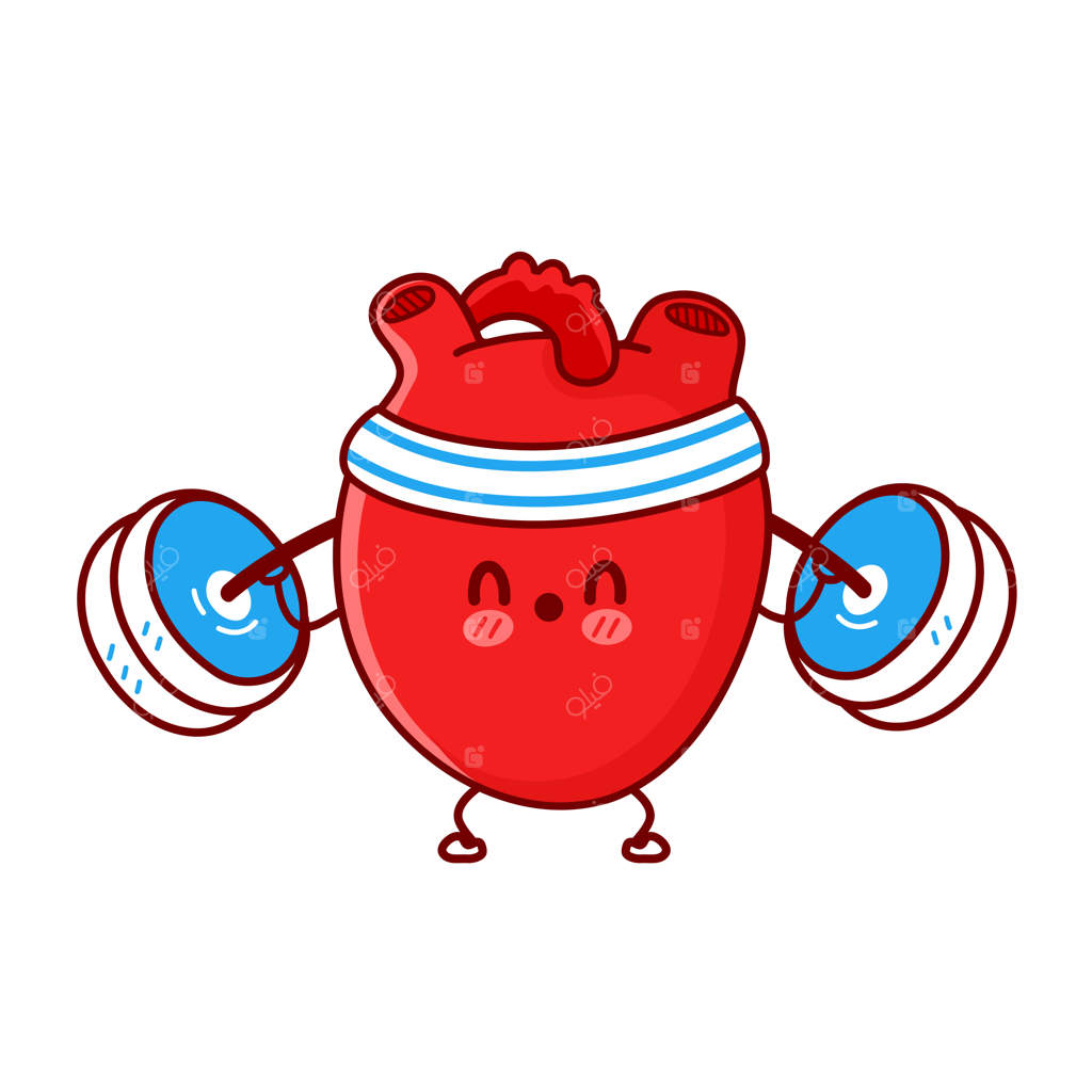 تمرینات بامزه قلب در باشگاه با وزنه‌برداری