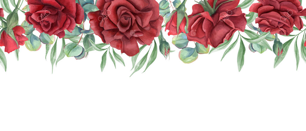 بنر افقی یکپارچه گل‌ های رز قرمز و برگ‌ های اکالیپتوس به صورت آبرنگی. طرح گل‌های یاقوتی باغ‌ های تابستانی همراه با سبزی برگ‌ها. فضای خالی برای نوشتن متن. مناسب برای پارچه و کارت‌ های تبریک.