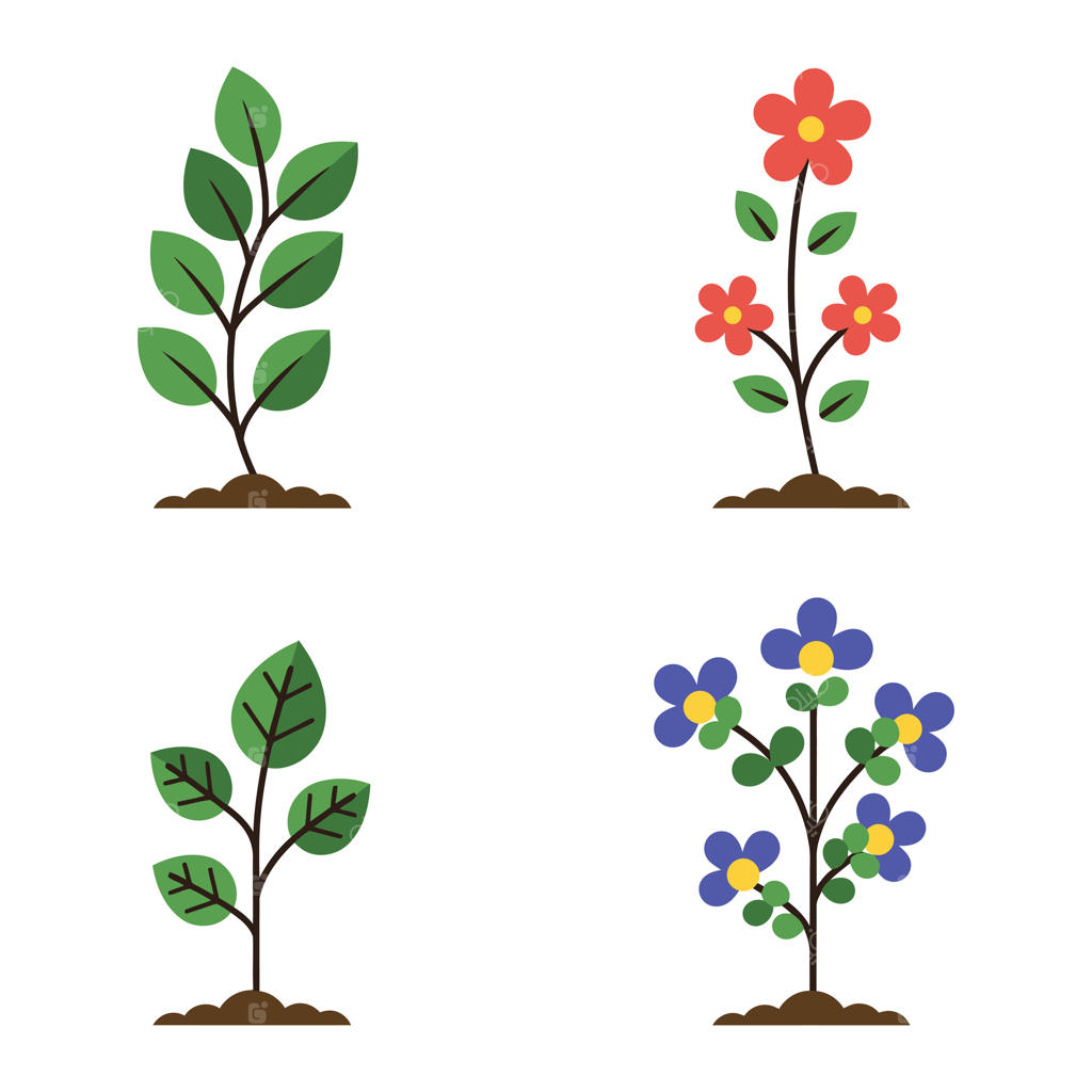 چهار نوع مختلف از گیاهان و گل‌ها