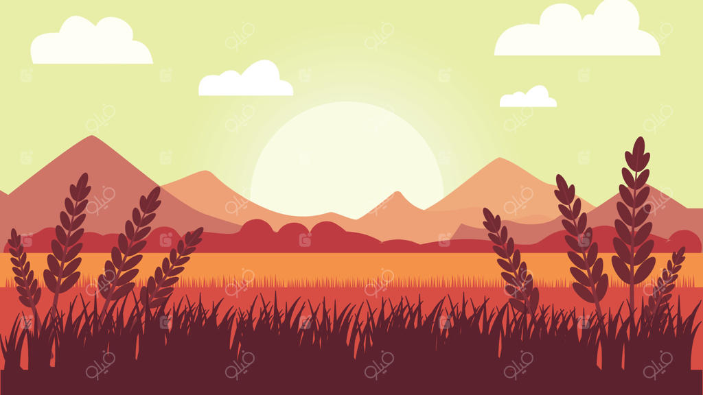 چشم‌انداز دشت گندم با کوهستان در طلوع خورشید