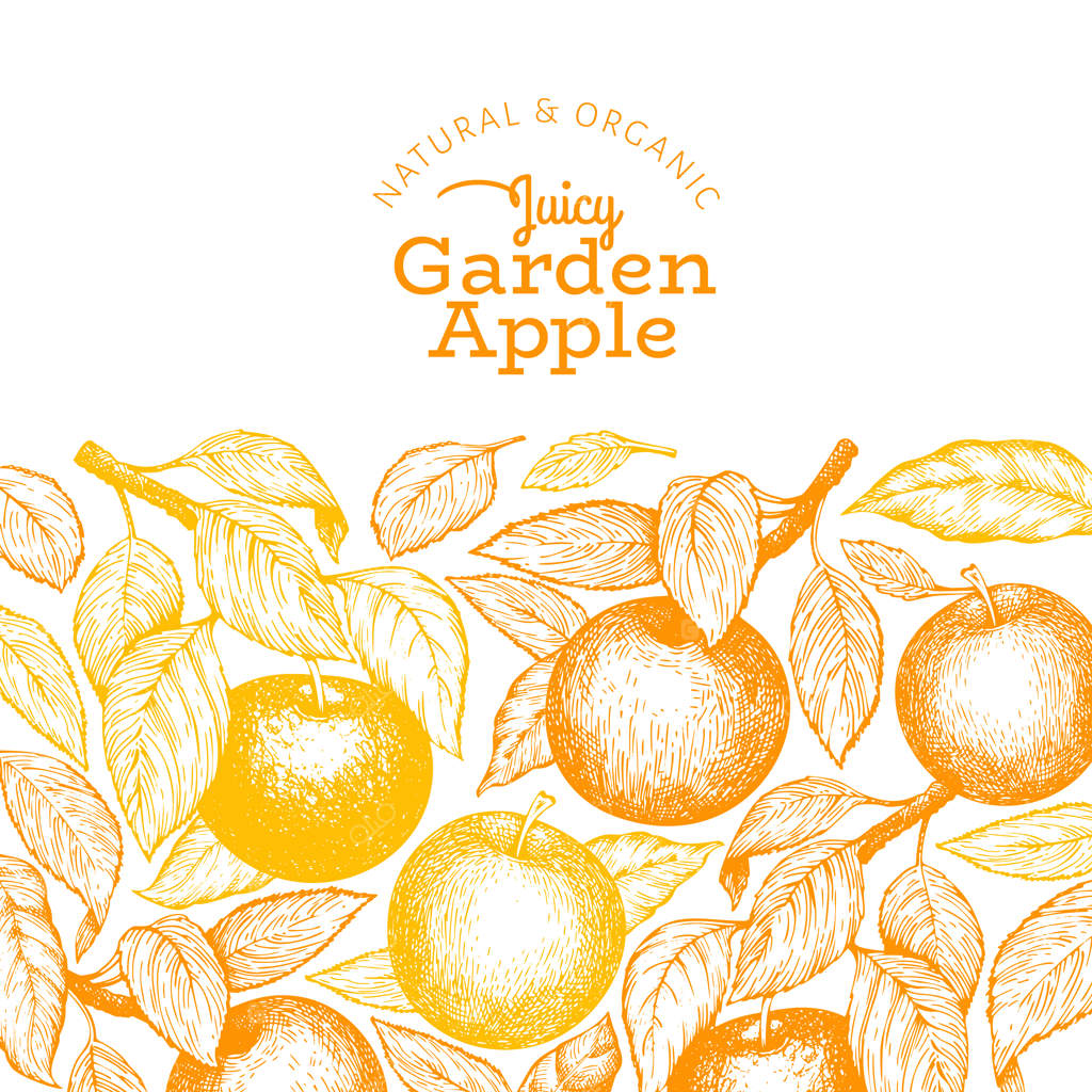 قالب شاخه سیب