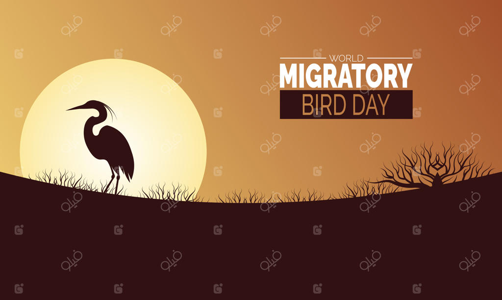 پیش زمینه جشن روز جهانی پرندگان مهاجر، با موضوع طبیعت و حیات وحش، مناسب برای پوسترها، بنرها و شبکه‌های اجتماعی.