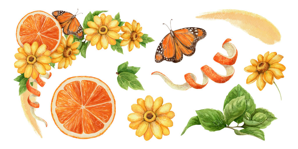 نقاشی زیبای پروانه و گل برای الهام؛ وکتور حرفه‌ای