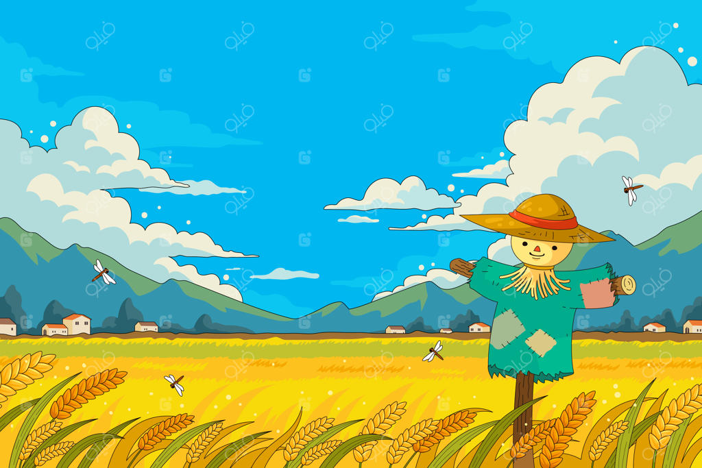 مترسک در مزرعه گندم زیر آسمان آفتابی