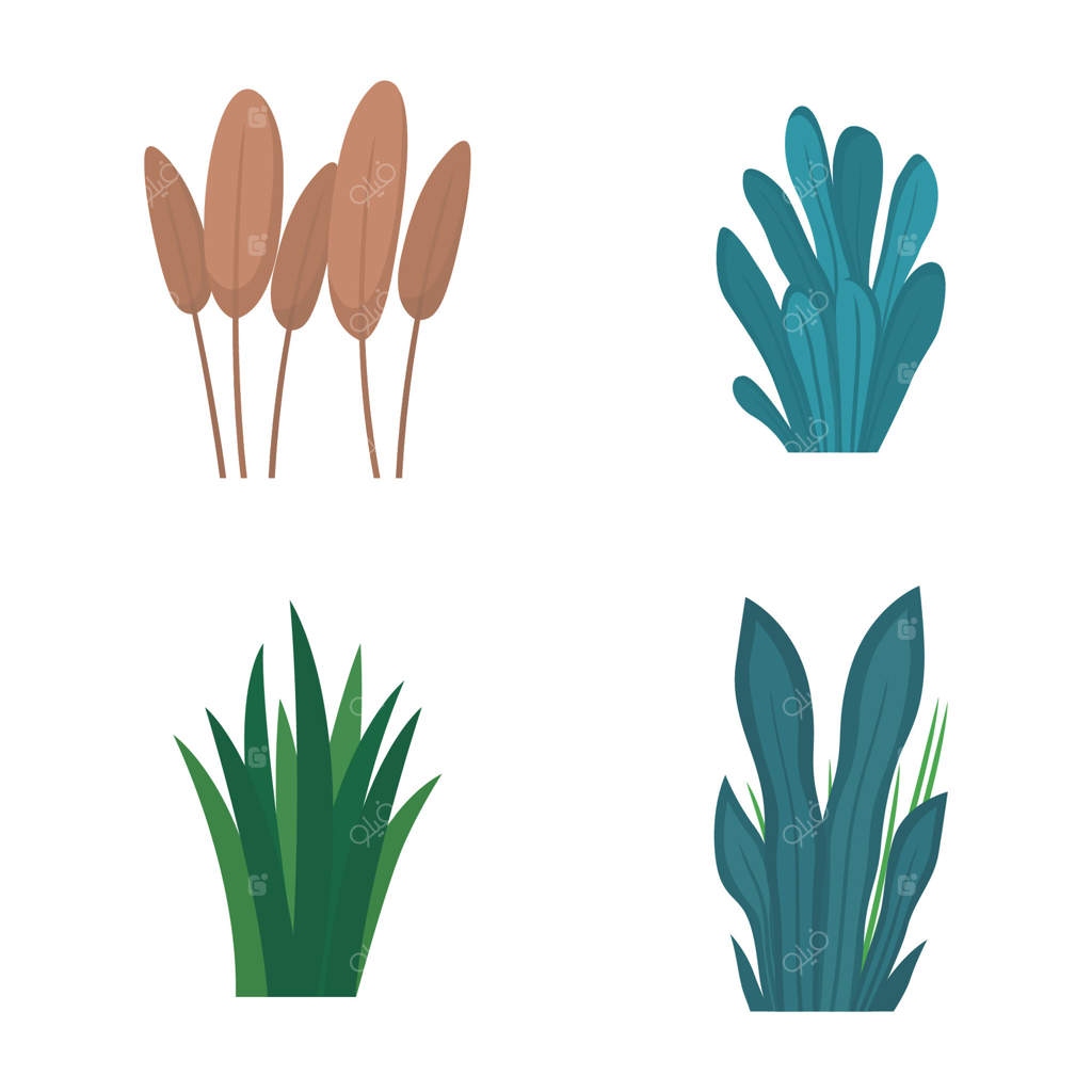 عناصر مجموعه‌ای از برگ‌های تازه و گرمسیری و گیاهان طبیعی در باغ پارک