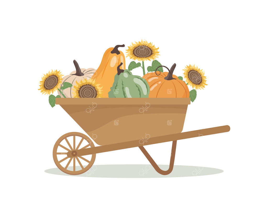 فرغون چوبی باغچه با کدو تنبل و آفتابگردان. دکور پاییزی و ترکیب کدو تنبل‌ها. تصویرگری برداشت پاییزی