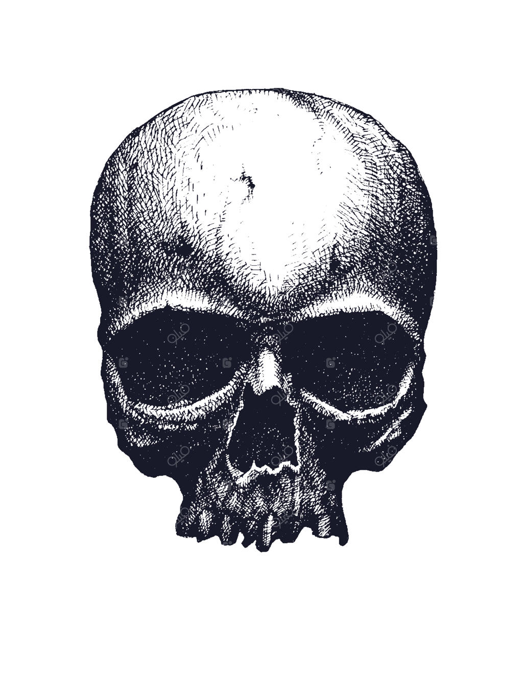 جمجمه سیاه و سفید انسان