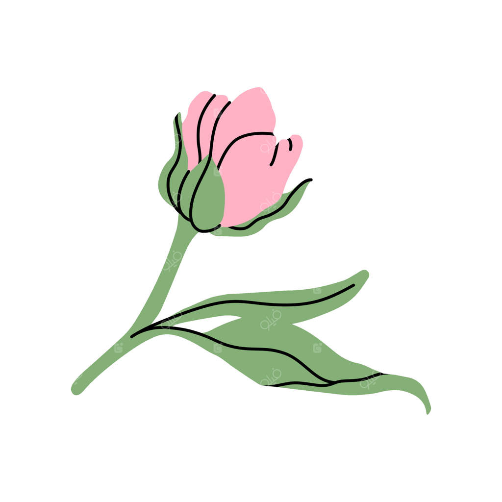 پائونیا صورتی لطیف: طراحی مینیمالیستی گل کوچک صورتی با برگ‌های سبز. طراحی گیاهی شیک برای باغ و فروشگاه گل. ایلستراسیون تخت.