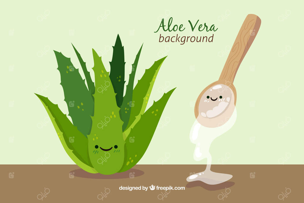 زمینه‌ای زیبا از گیاه آلوئه‌ورا