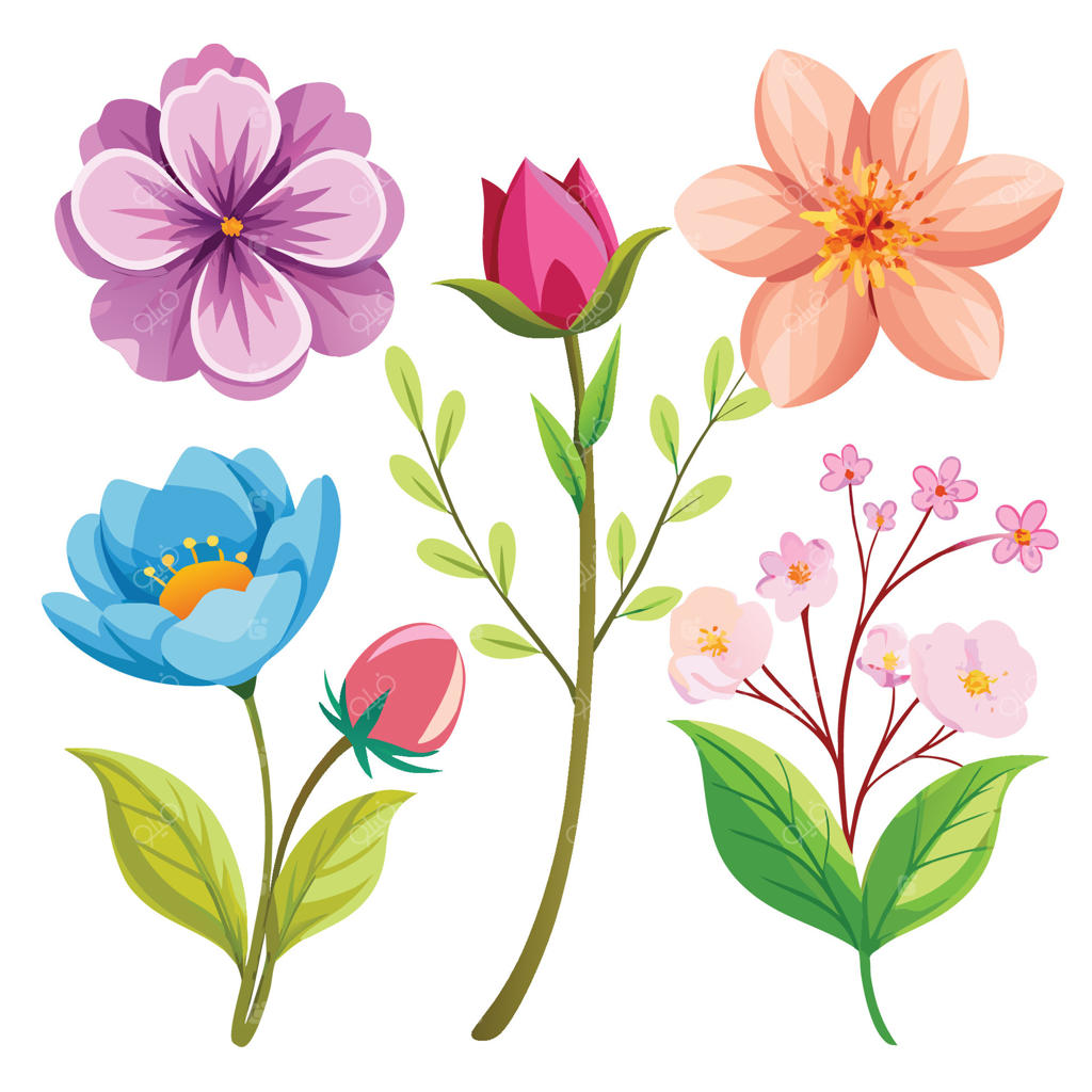 افسون گل‌های باغچه