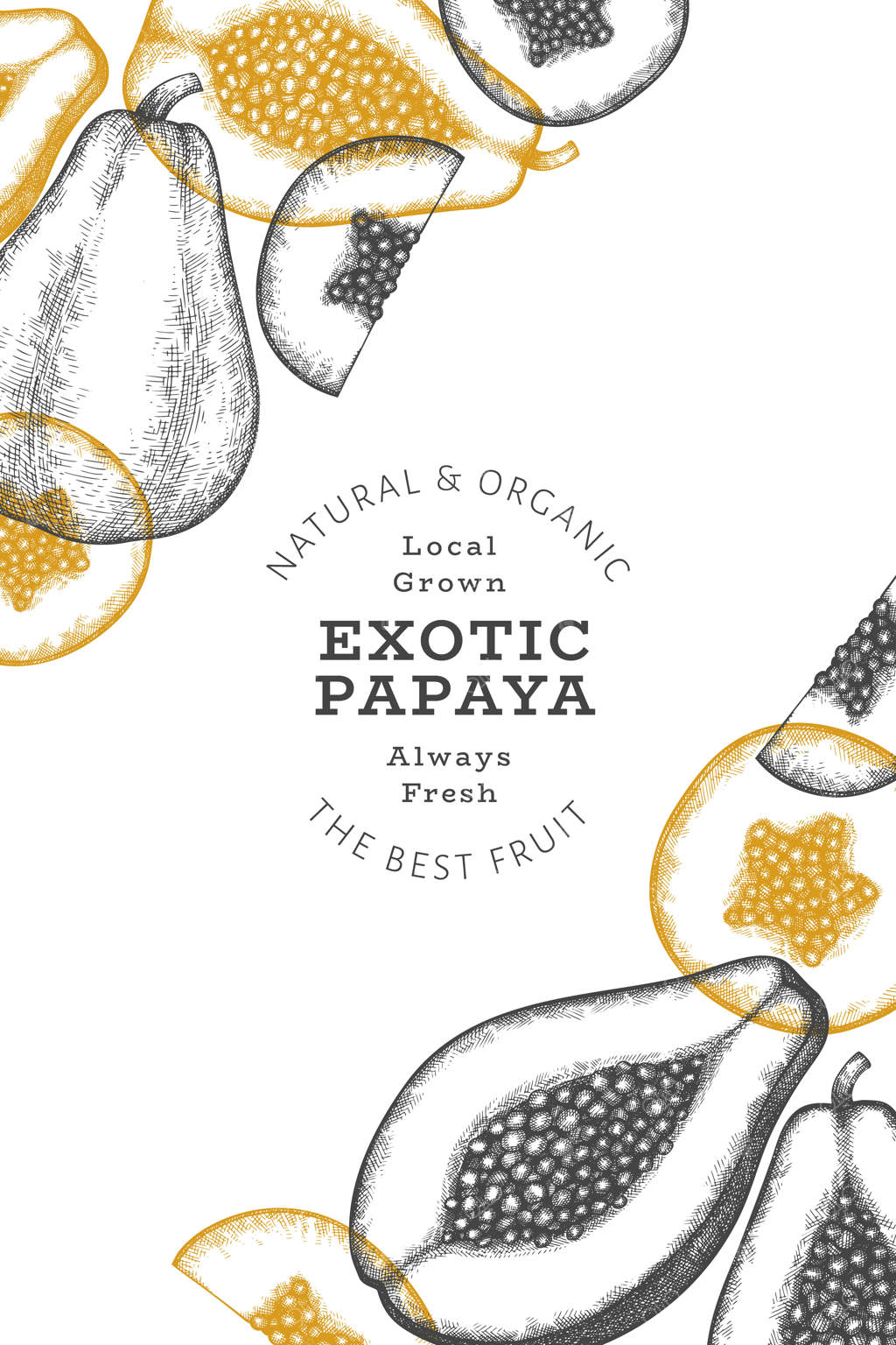 بنر پاپایا با طراحی دستی. تصویرسازی میوه تازه و ارگانیک.