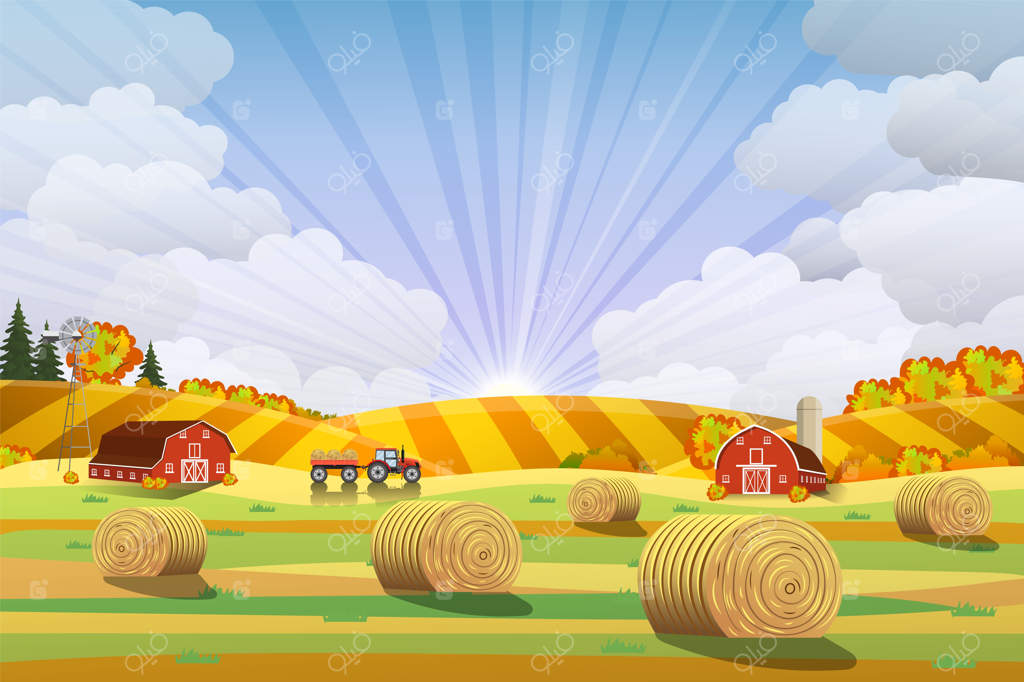 منظره‌ای از روستا با کاه‌پشته‌ها در مزارع. چشم‌انداز محیط روستایی. دسته‌های کاه. منظره‌ای آرام و مسطح از مزرعه. مفهوم غذای ارگانیک برای هر طرحی.