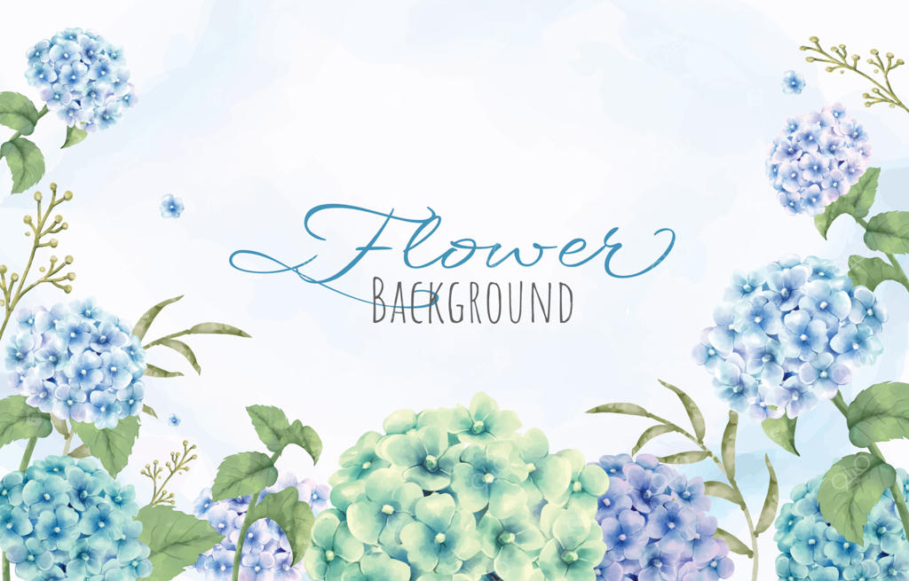 زمینه‌ای با گل‌های هورتنسیا آبرنگی در فصل بهار