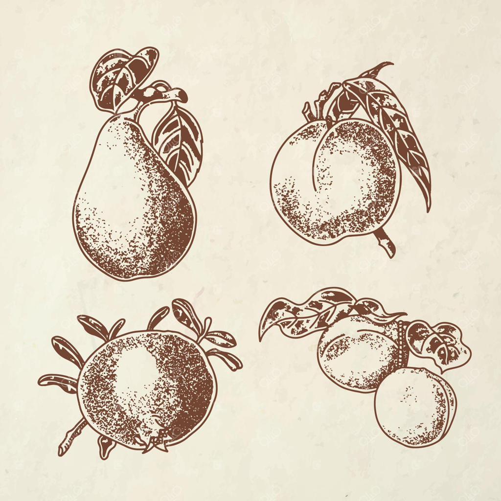 مجموعه‌ای از نقاشی‌های دستی میوه‌ها