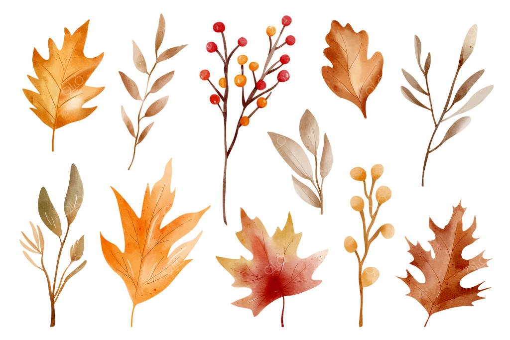 مجموعه آبرنگ پاییزی: گیاهان، شاخه‌ها و برگ‌های دست‌ساز برای طراحی و تزئینات فصلی روستایی