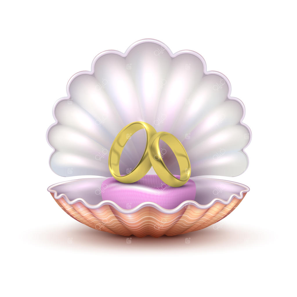 حلقه‌های ازدواج طلایی واقع‌گرایانه در صدف: مفهوم تصویری ازدواج